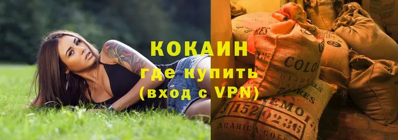 Cocaine Эквадор  цена   Волоколамск 