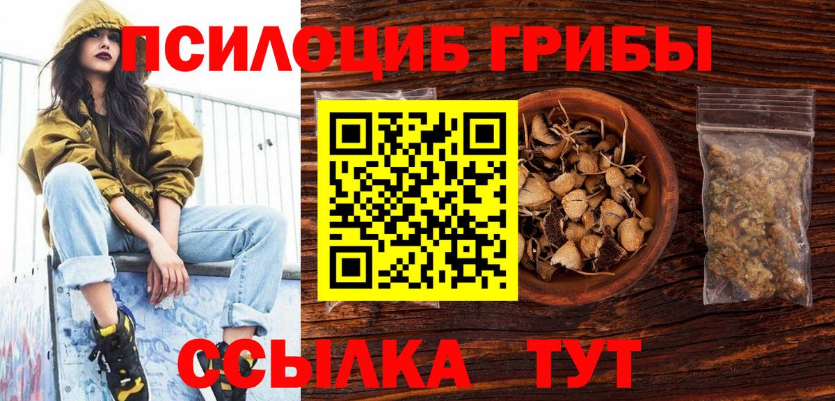 Галлюциногенные грибы Cubensis  Вход с VPN  Волоколамск 